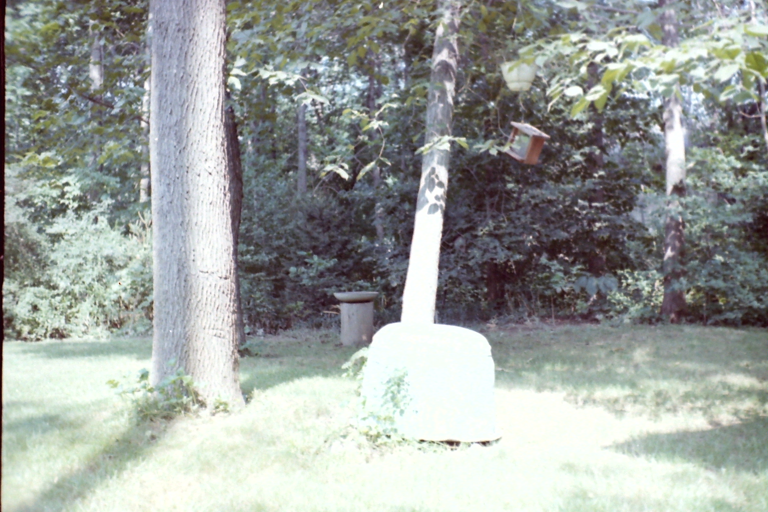 1967-08_P21