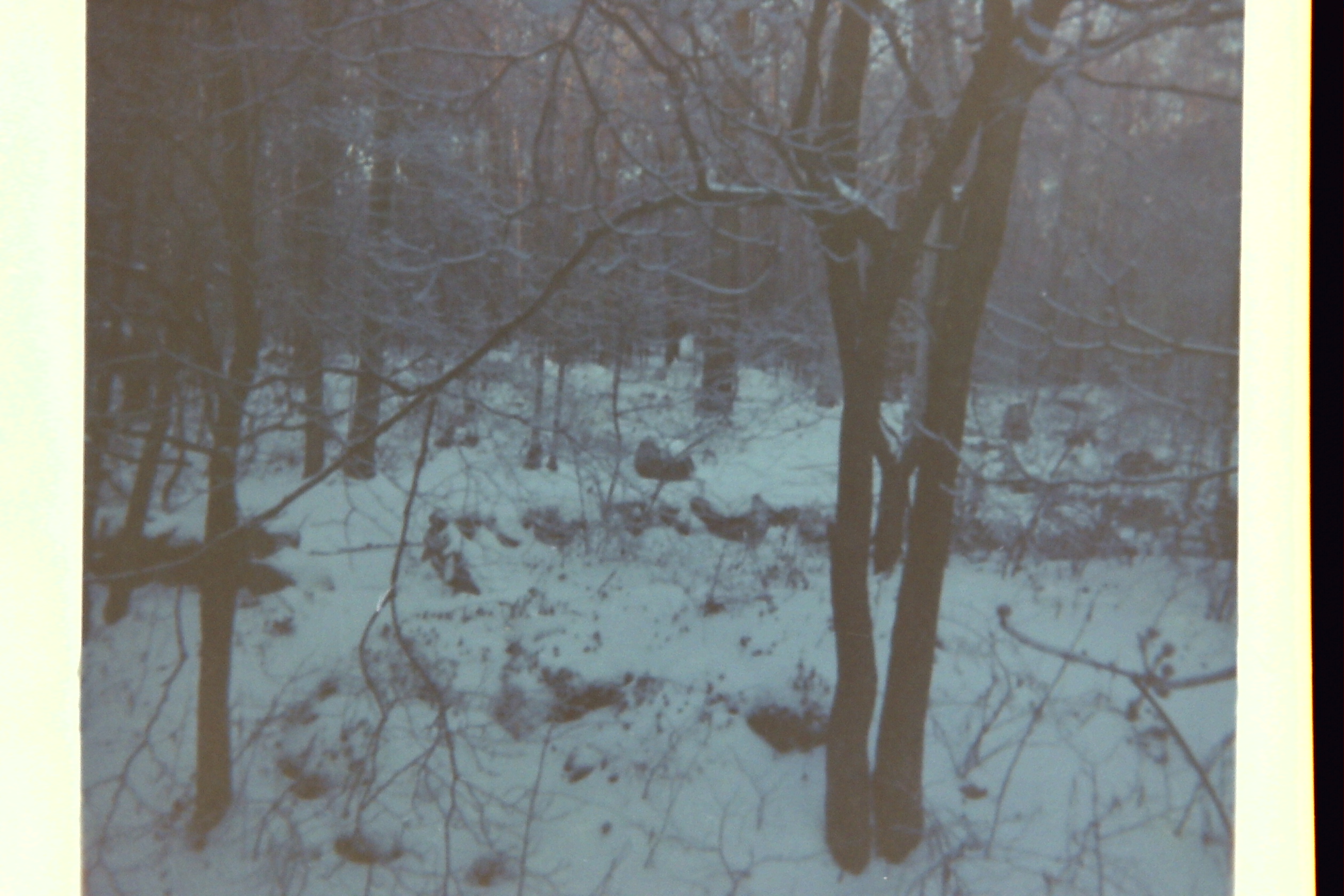 1973-12_P12 winter