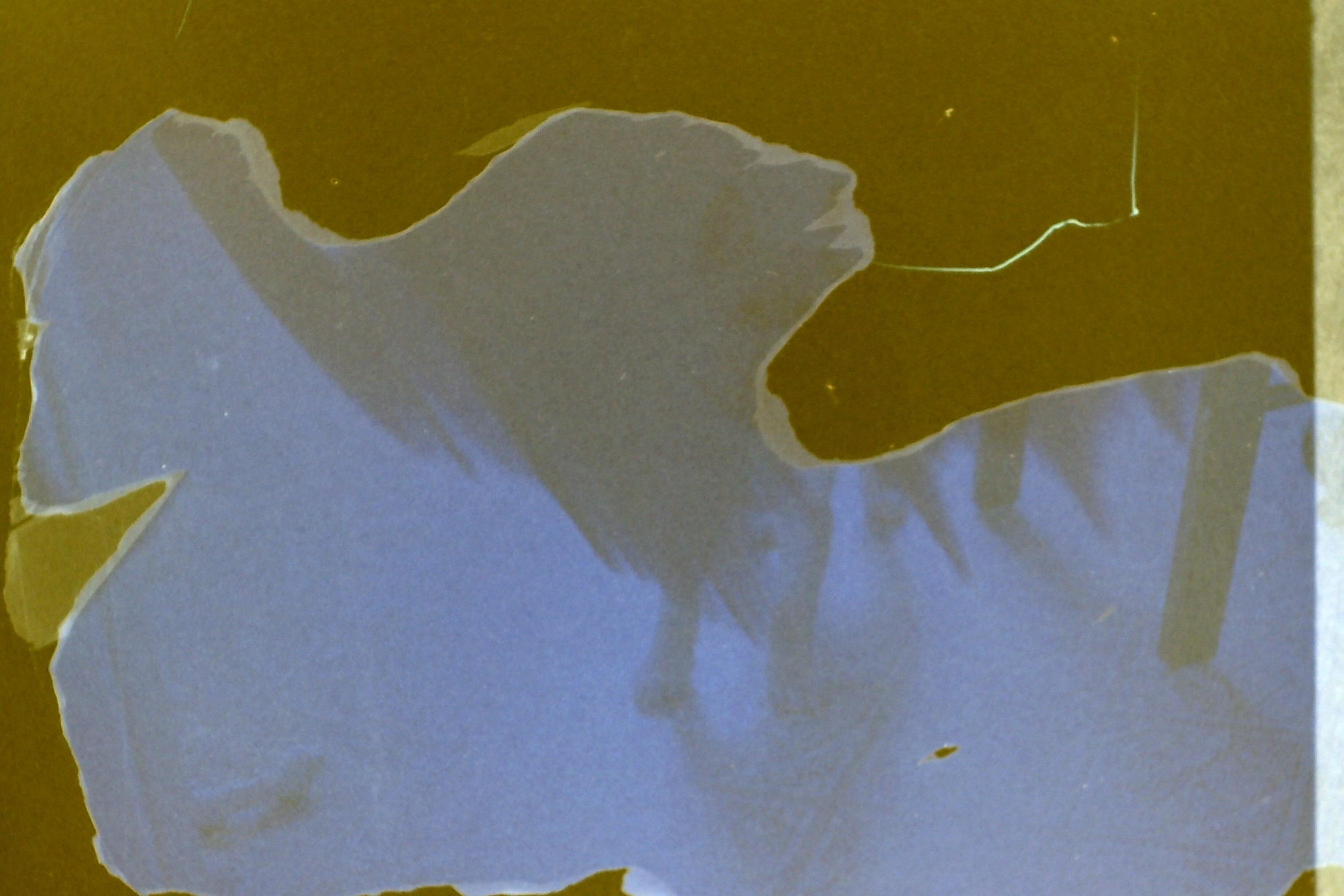 1986-Dont know date_P16